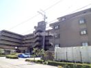 ネオハイツ石山の外観画像