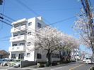 紫桜ハイツの外観画像