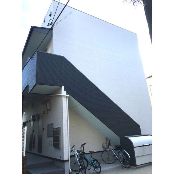 コームの外観画像