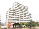 サーパス学南町の外観画像