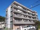 コージーハウスⅤの外観画像