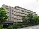 ライオンズヴィアーレ光が丘公園の外観画像