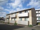 D-room 加納 A棟の外観画像