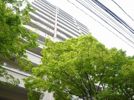 グランドメゾン大濠公園2011の外観画像