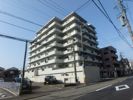 トーカンマンション上大川前の外観画像
