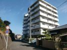 住建ハイプレース若葉の外観画像