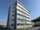 ニュー和ハイツの外観画像