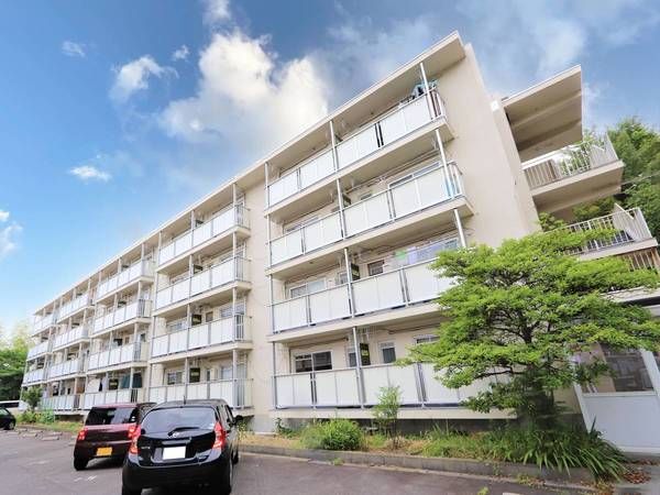 ビレッジハウス平田1号棟の外観画像