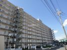 ローズタウン志津駅前C号棟の外観画像