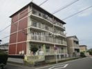 高柳グランドハイツの外観画像