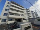 新琴似ハイツ 116号室の外観画像