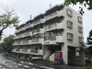 ニューシティハイツさつきが丘の外観画像