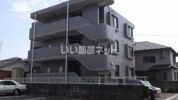 フィット・レビューの外観画像