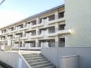 真栄ハイツの外観画像