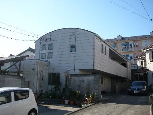 MOMOの実の外観画像