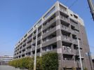 ライオンズマンション香枦園プラージュの外観画像