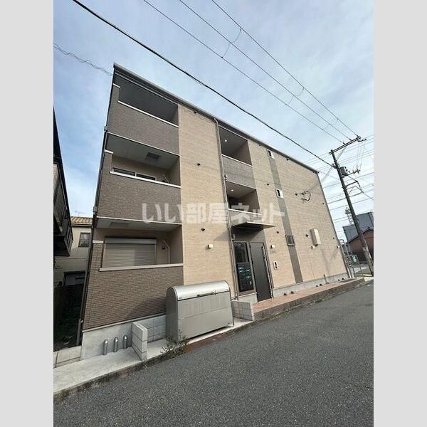 F asecia iliaの外観画像