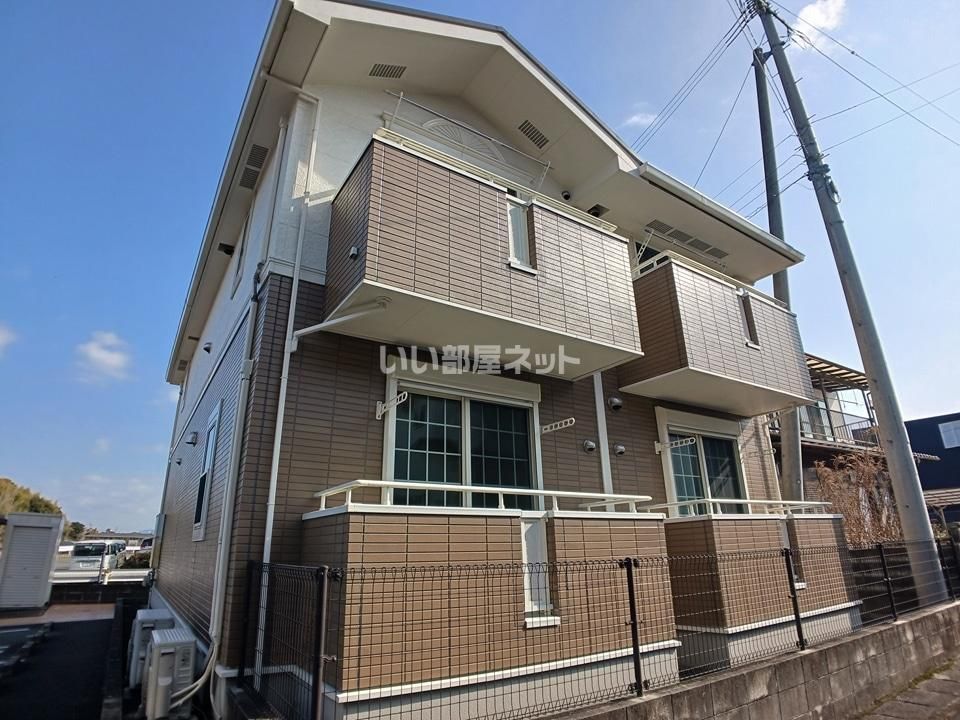 パンジーの外観画像