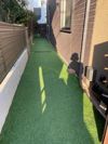 ベリンハムの外観画像
