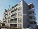 プレセランス人見町の外観画像