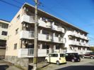 シティハイツ安野屋の外観画像