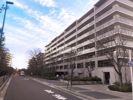 グランドメゾン江古田の杜（グランドメゾンエコダノモリ）の外観画像