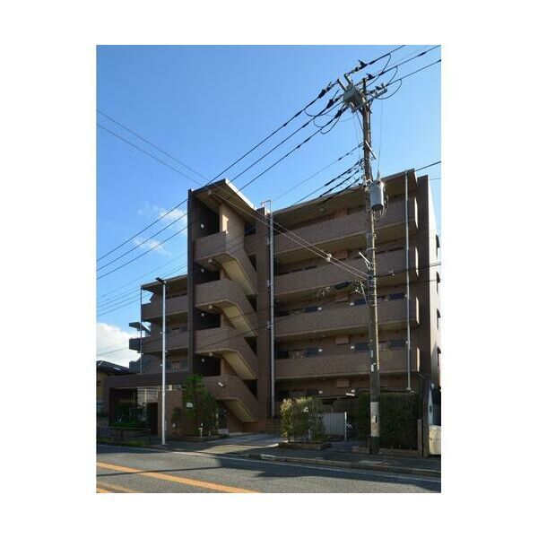 オキザリスの外観画像