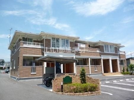 ファレノプシスの外観画像