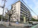 スターハイツ甲子園口の外観画像