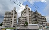 サンライズマンション岩出Ⅴ壱番館 403号の外観画像
