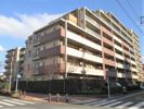 グリーンティエラ柴又の外観画像