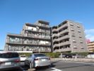 グレースコート志村の外観画像