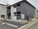 水芭蕉の外観画像