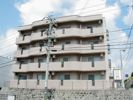 緑館2（中部屋）の外観画像