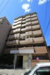 ファレノプシスの外観画像