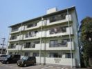 アベニュー島田PartIIIの外観画像