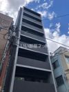 chien viverrinの外観画像