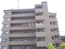 デルニエ向日町の外観画像
