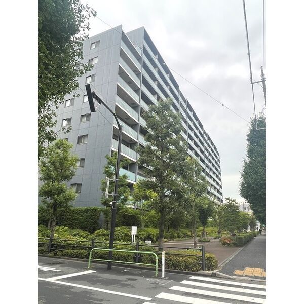 シティテラス板橋蓮根の外観画像