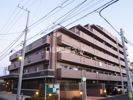 ナイスエスアリーナ中央林間の外観画像