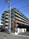 アクシスソメイの外観画像