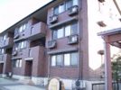 ハリークレスト Aの外観画像