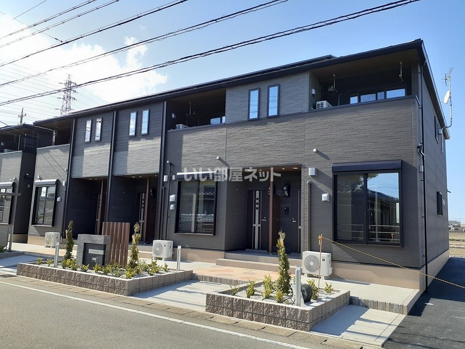 セロリBの外観画像