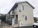 ホーランドロップの外観画像