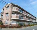 マンション池ノ上の外観画像