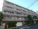 ウイングス中川5ビルの外観画像