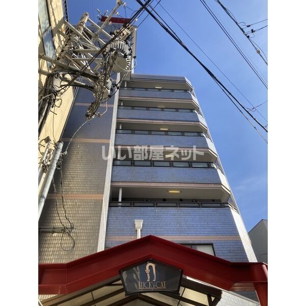 ラッキーキャット 初期費用0円キャンペーン実施中!!の外観画像