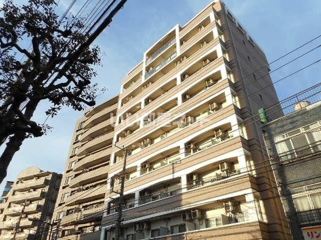 カンパニュラの外観画像
