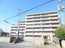 シートレジャー曽根駅前の外観画像