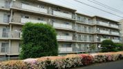上柴第一団地36号棟の外観画像